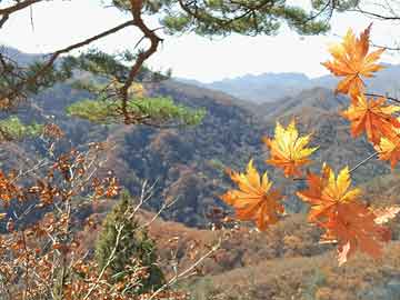 《黑神话：悟空》获TGA年度最佳动作游戏奖|界面新闻 · 快讯